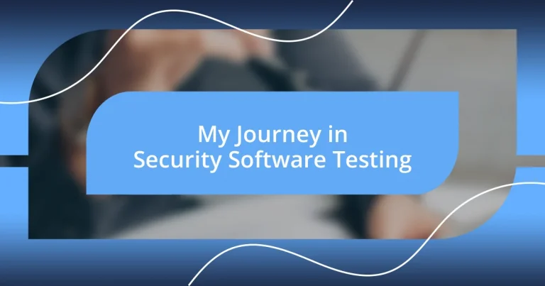 My Journey in Security Software Testing